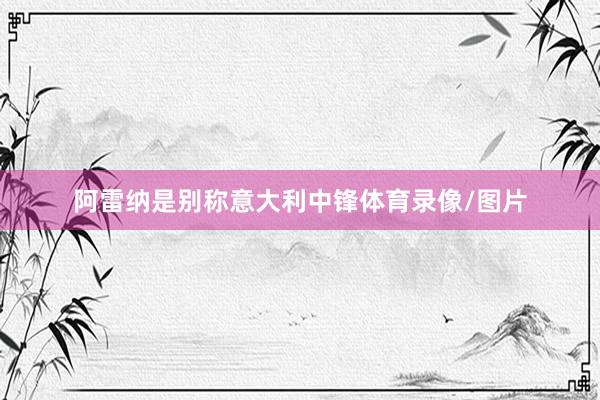 阿雷纳是别称意大利中锋体育录像/图片