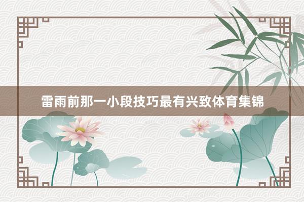 雷雨前那一小段技巧最有兴致体育集锦