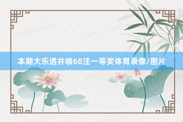 本期大乐透井喷68注一等奖体育录像/图片