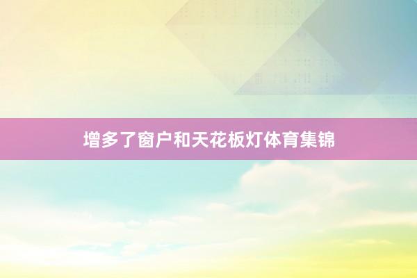 增多了窗户和天花板灯体育集锦