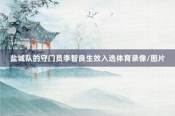 盐城队的守门员李智良生效入选体育录像/图片
