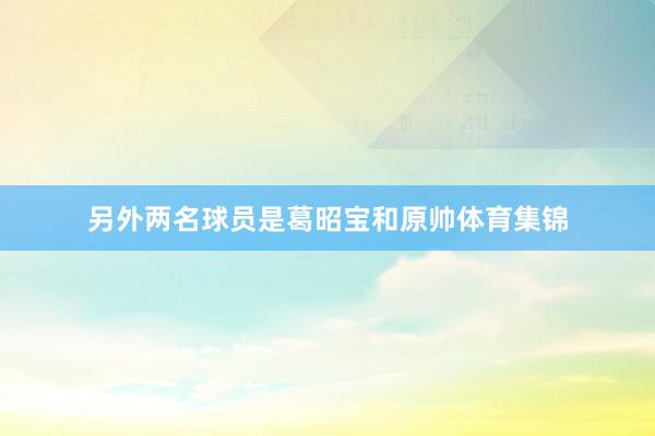 另外两名球员是葛昭宝和原帅体育集锦