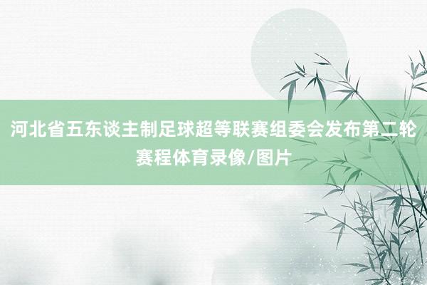 河北省五东谈主制足球超等联赛组委会发布第二轮赛程体育录像/图片
