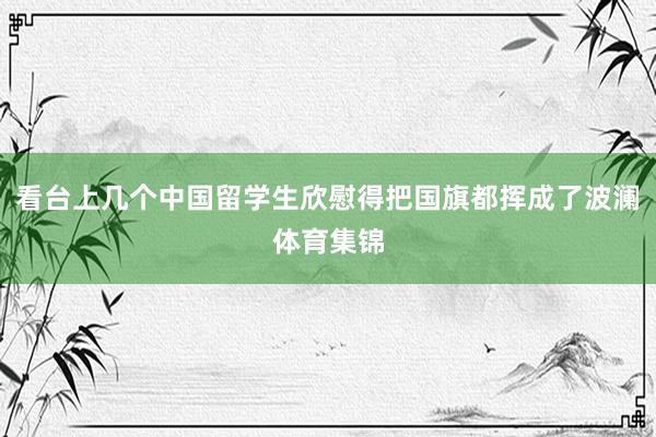 看台上几个中国留学生欣慰得把国旗都挥成了波澜体育集锦