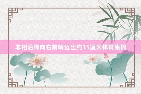 非相沿脚向右前哨迈出约35厘米体育集锦