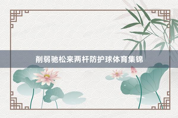 削弱驰松来两杆防护球体育集锦