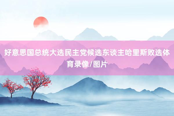 好意思国总统大选民主党候选东谈主哈里斯败选体育录像/图片
