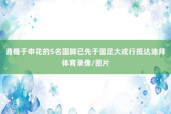 遵循于申花的5名国脚已先于国足大戎行抵达迪拜体育录像/图片