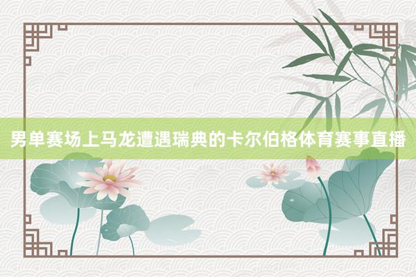 男单赛场上马龙遭遇瑞典的卡尔伯格体育赛事直播