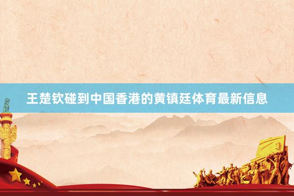 王楚钦碰到中国香港的黄镇廷体育最新信息