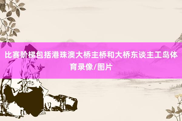 比赛阶梯包括港珠澳大桥主桥和大桥东谈主工岛体育录像/图片