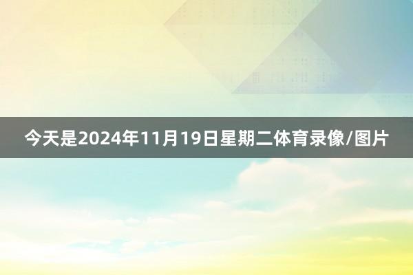 今天是2024年11月19日星期二体育录像/图片