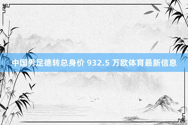 中国男足德转总身价 932.5 万欧体育最新信息