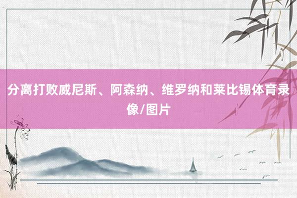 分离打败威尼斯、阿森纳、维罗纳和莱比锡体育录像/图片