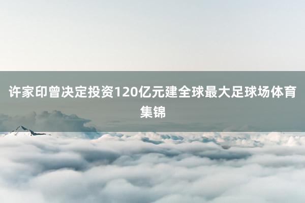 许家印曾决定投资120亿元建全球最大足球场体育集锦