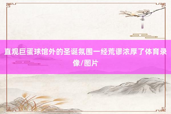 直观巨蛋球馆外的圣诞氛围一经荒谬浓厚了体育录像/图片