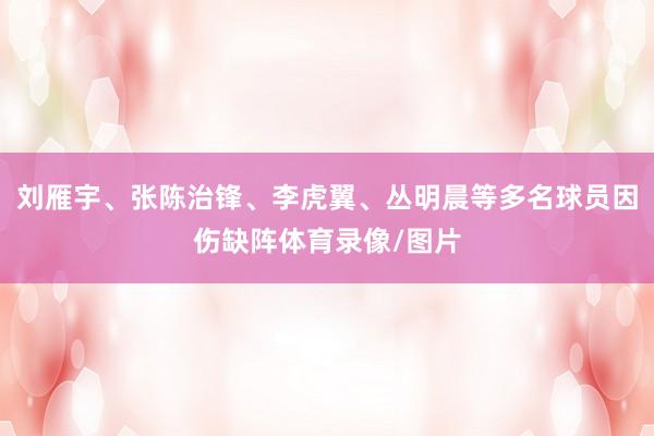 刘雁宇、张陈治锋、李虎翼、丛明晨等多名球员因伤缺阵体育录像/图片