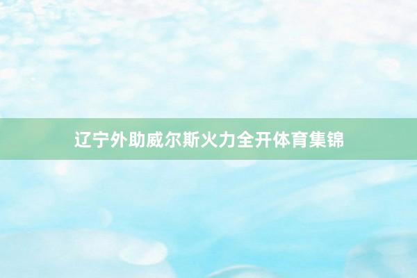 辽宁外助威尔斯火力全开体育集锦