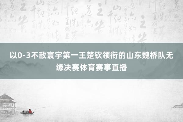 以0-3不敌寰宇第一王楚钦领衔的山东魏桥队无缘决赛体育赛事直播