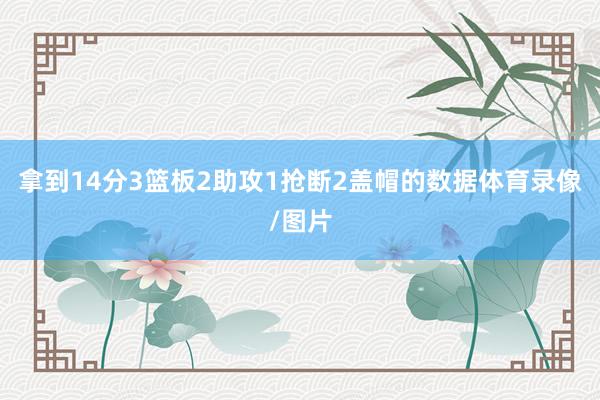 拿到14分3篮板2助攻1抢断2盖帽的数据体育录像/图片