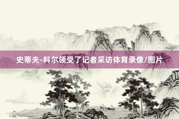 史蒂夫-科尔领受了记者采访体育录像/图片