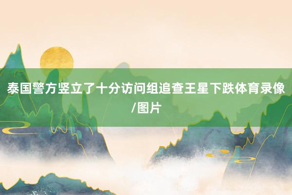 泰国警方竖立了十分访问组追查王星下跌体育录像/图片