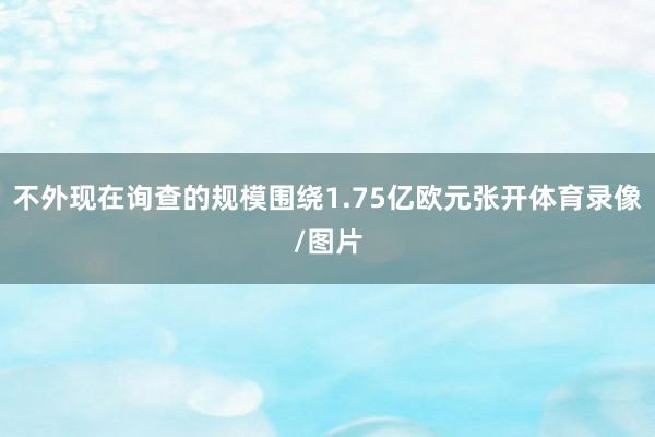 不外现在询查的规模围绕1.75亿欧元张开体育录像/图片