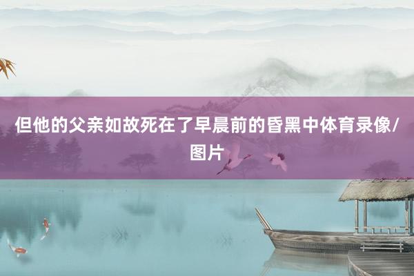 但他的父亲如故死在了早晨前的昏黑中体育录像/图片