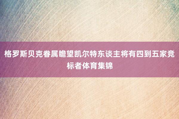 格罗斯贝克眷属瞻望凯尔特东谈主将有四到五家竞标者体育集锦