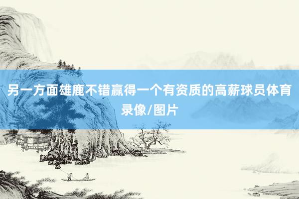 另一方面雄鹿不错赢得一个有资质的高薪球员体育录像/图片