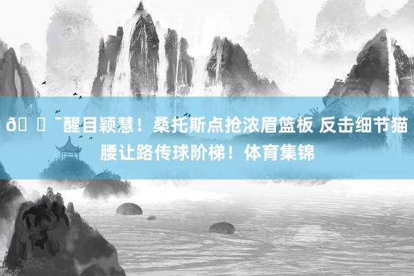 😯醒目颖慧！桑托斯点抢浓眉篮板 反击细节猫腰让路传球阶梯！体育集锦