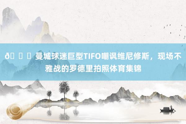 👀曼城球迷巨型TIFO嘲讽维尼修斯，现场不雅战的罗德里拍照体育集锦
