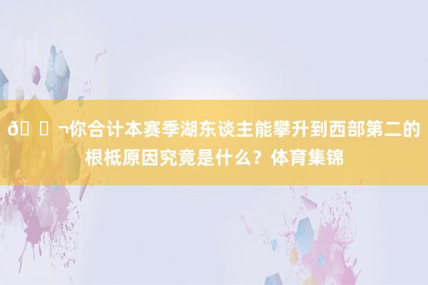 💬你合计本赛季湖东谈主能攀升到西部第二的根柢原因究竟是什么？体育集锦