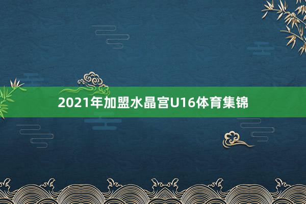 2021年加盟水晶宫U16体育集锦